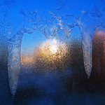 Yellow-blue fantasy [enlarge for details!]