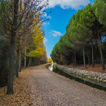 Calmada y tranquila iba