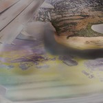 Through the Fingerprinted Glass - Tampa Bay