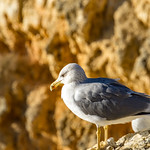 Before the abyss - just do not slip