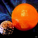 &copy; Planet ORAN(G)US