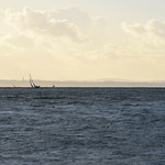 Solent