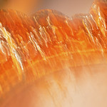 Sizzling and energetic