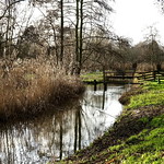 Westerpark Amsterdam