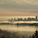 Foggy Vancouver
