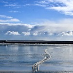 Going Wide at Sunnyside