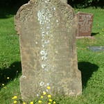 Archie Herbert Hannant - Died in Action 1917