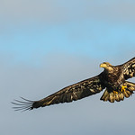 look mum...I got one~~