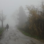 IMG_6716- Sale la nebbia ...