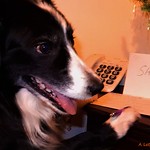 Dear Santa...I Want...