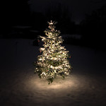 I need a silent night...