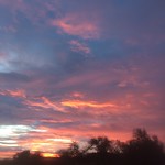 Good morning Friday!