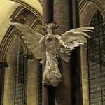 Christmas and New Year at Salisbury Cathedral