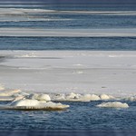 _|_ Mississippi Winter Montage - II. _|_