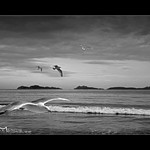 Islas C&iacute;es desde la Playa de Samil. Vigo, Pontevedra (Galicia, Spain)