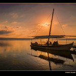 L'Albufera, barca i oc&agrave;s 79 (A boat in l'Albufera's sunset)