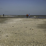 Sanibel Isalnd - 2018