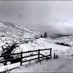 Fence Ben Lawer's_G5A5333 Black and White Edit