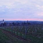 Albrechtsburg Mei&szlig;en - Panorama