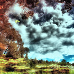 illusory world - upside-down