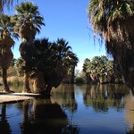 Agua Caliente Park, Tucson Arizona