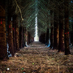 I know there is always a light at the end of the tunnel