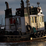 Tug Maren J AM Cameron Isl.