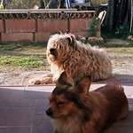 Est&aacute;n en su casa...