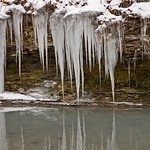Icicles along the creek