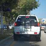 Florida Keys March 10 (106)