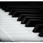 050/365: The black and the white