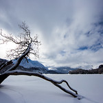 magical spirit of winter 2