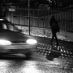 A rainy Winters Day with Norman 2017 -34