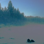 The fog is about to devour the lake while Aiko is performing his evening-crawl dance😄