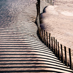 Fence in the sand