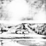 winter fell - white out