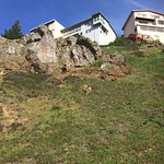 Things are looking up, for ODC