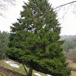 Slanted ... (104534164)