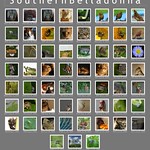 My stuff currently on Explore