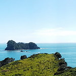 Cathedral Cove Panorama in Coromandel Peninsula, New Zealand