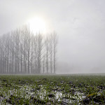 G&eacute;om&eacute;trie variable 2