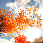 Orange the World 2018 - Morocco