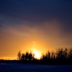 Arctic Winter 'Rainbow'