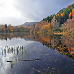 Polney Loch Autumn Colours