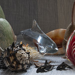 20181214 Fish En Masse