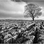 Malham Limestone Pavement