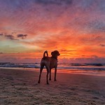 Another one sunset lover))