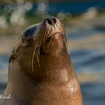 The waters perfect, honest