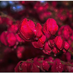 OCTOBER 2018 NGM_9034_5675-1-222