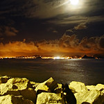 Gato Preto &agrave; Noite [Moonlit Cat]